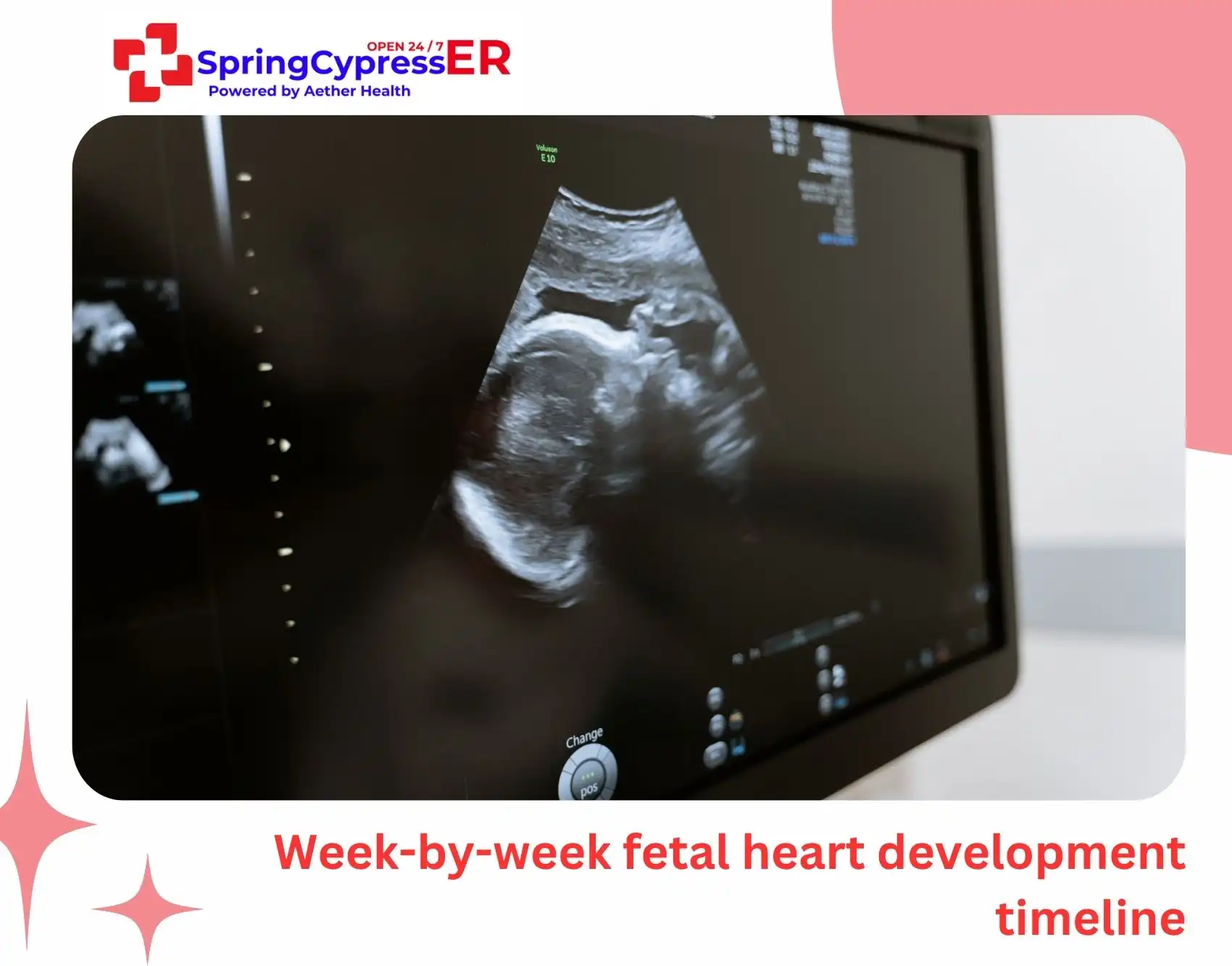 Week-by-week fetal heart development timeline