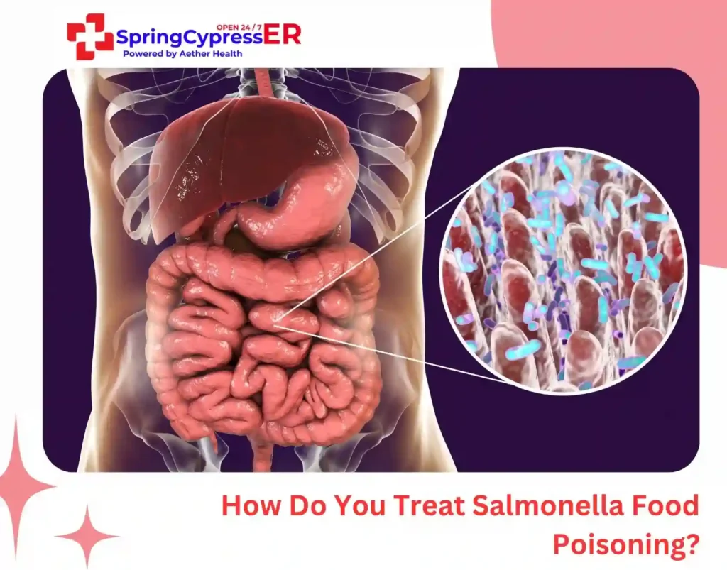 How Do You Treat Salmonella Food Poisoning
